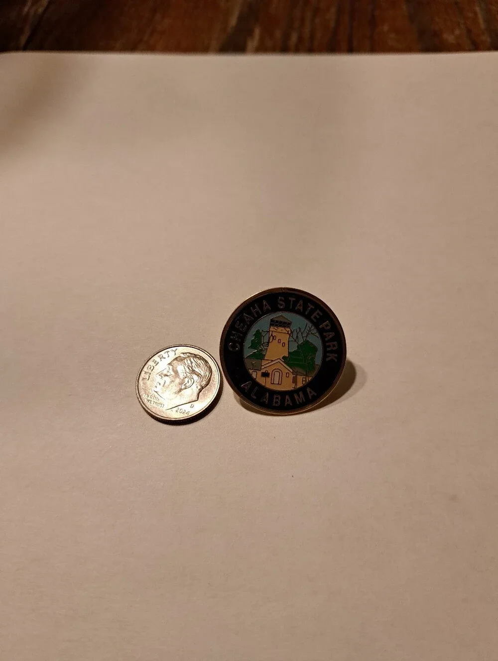 Vintage New Cheaha State Park Alabama State Souviner Lighthouse Pin Collectible